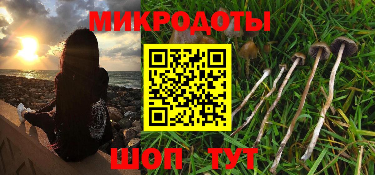 Елизово  Псилоцибиновые грибы Psilocybine cubensis  Вход с VPN 
