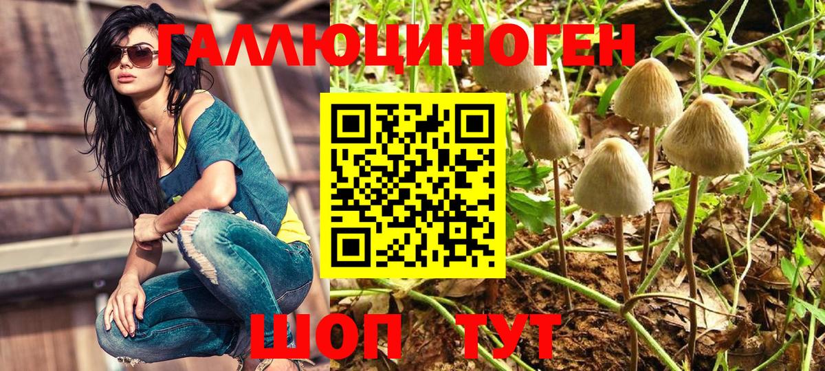 Псилоцибиновые грибы GOLDEN TEACHER Елизово